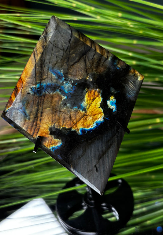 Labradorit Raute mit Stand