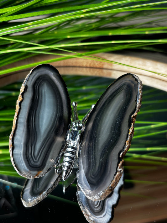 Achat Schmetterlinge groß – Flügel aus brasilianischem Achat