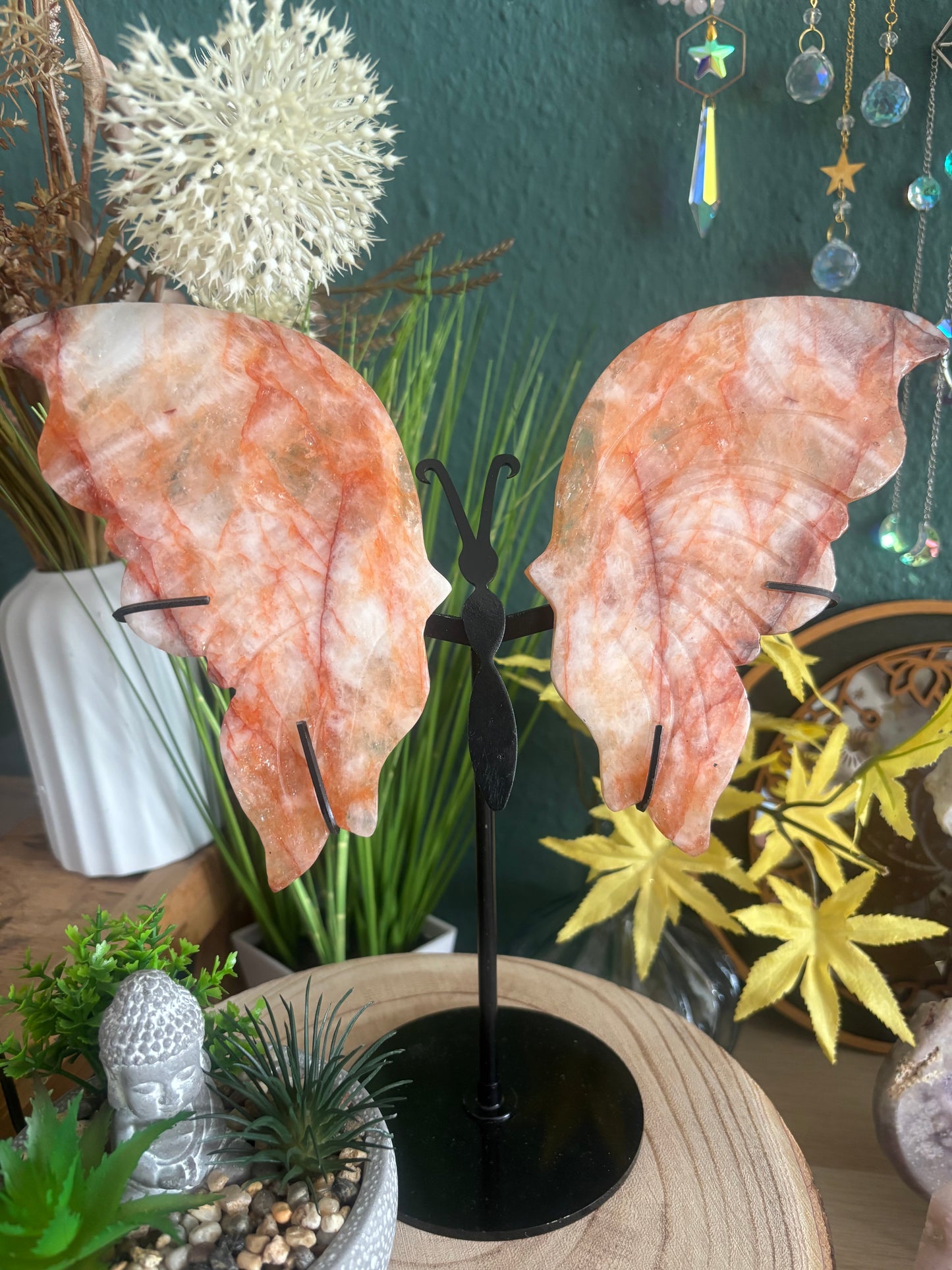 Feuerqaurz Schmetterling