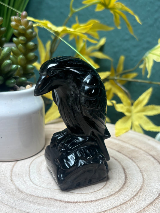 Obsidian Krähe