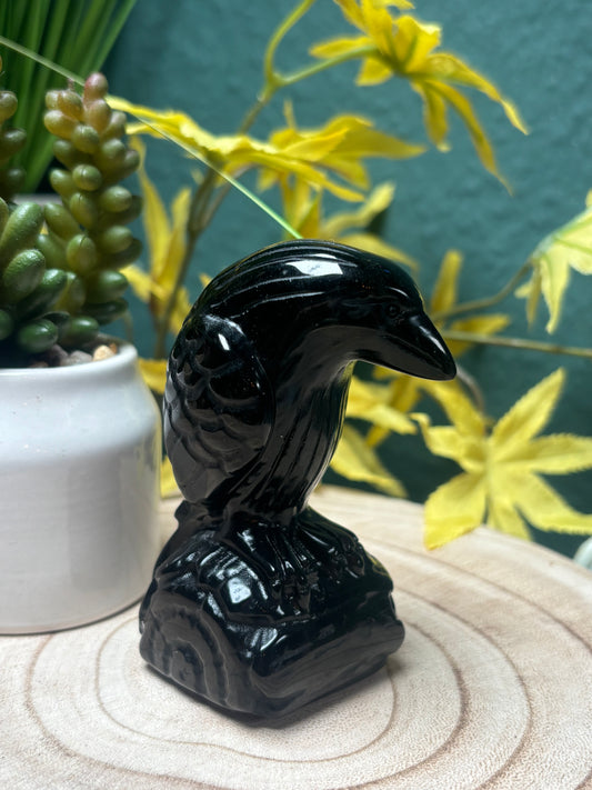 Obsidian Krähe