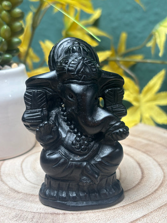 Verschiedene Mineralien Ganseha