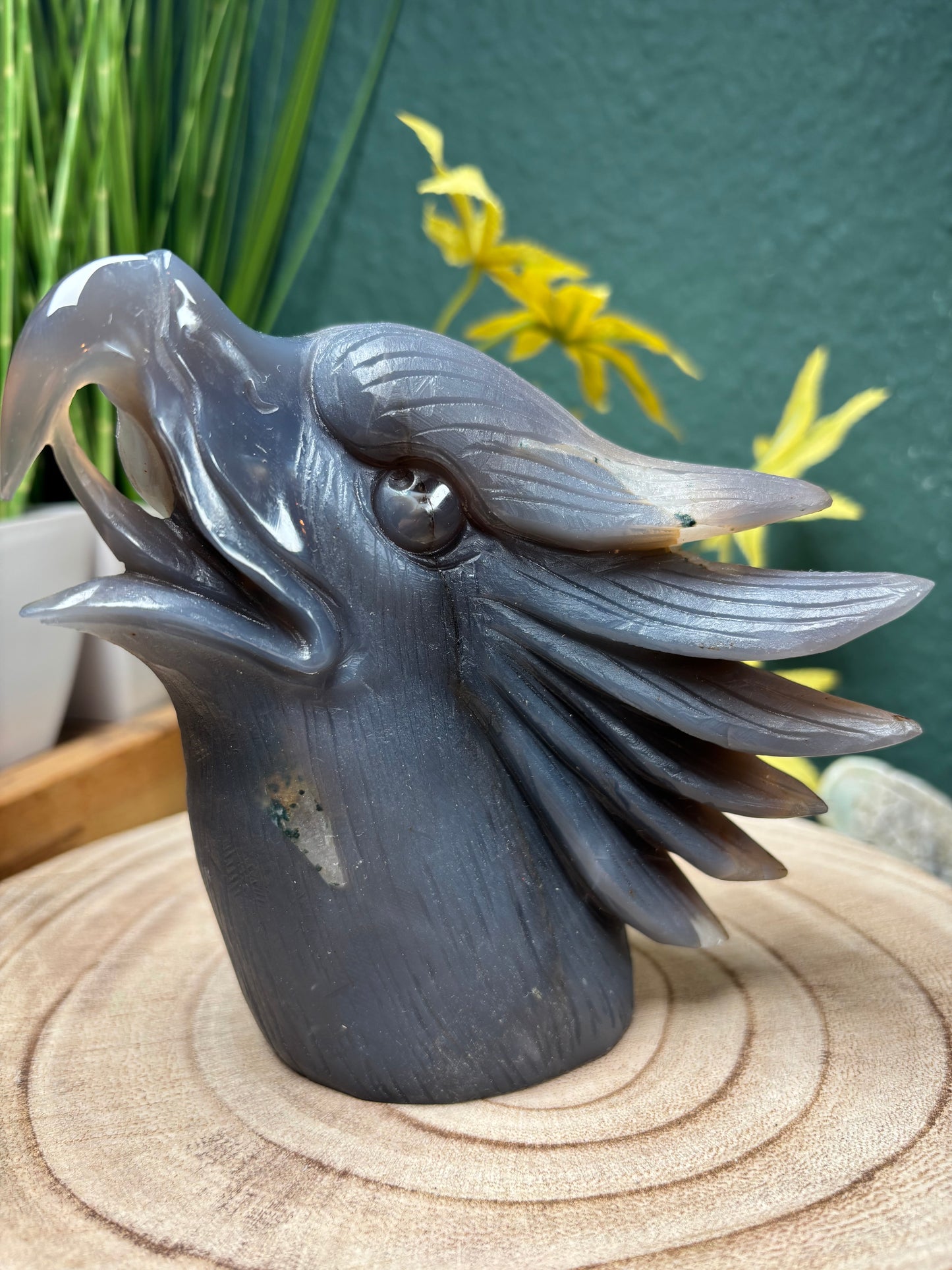 Carving Adler Statement Achat mit Druse