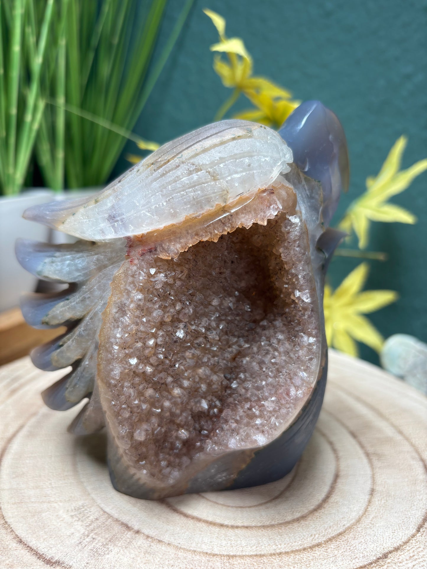 Carving Adler Statement Achat mit Druse