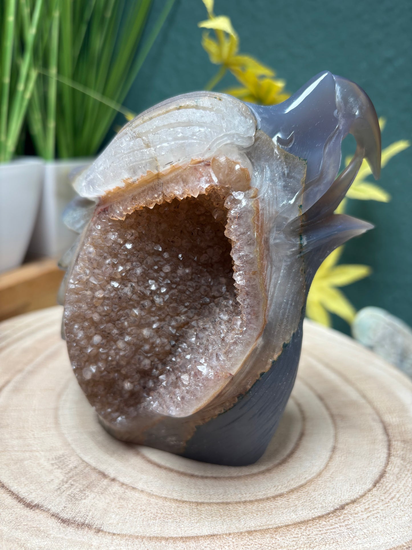 Carving Adler Statement Achat mit Druse