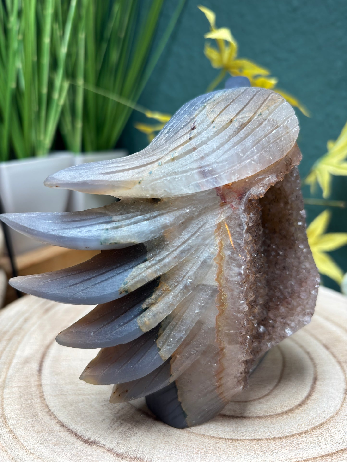 Carving Adler Statement Achat mit Druse