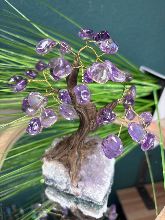 Amethyst Baum auf Amethyst Rohstück