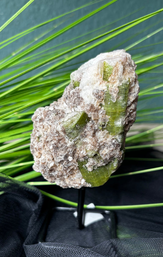 Grüner Turmalin auf Stand mit Muttergestein – 13,5 cm