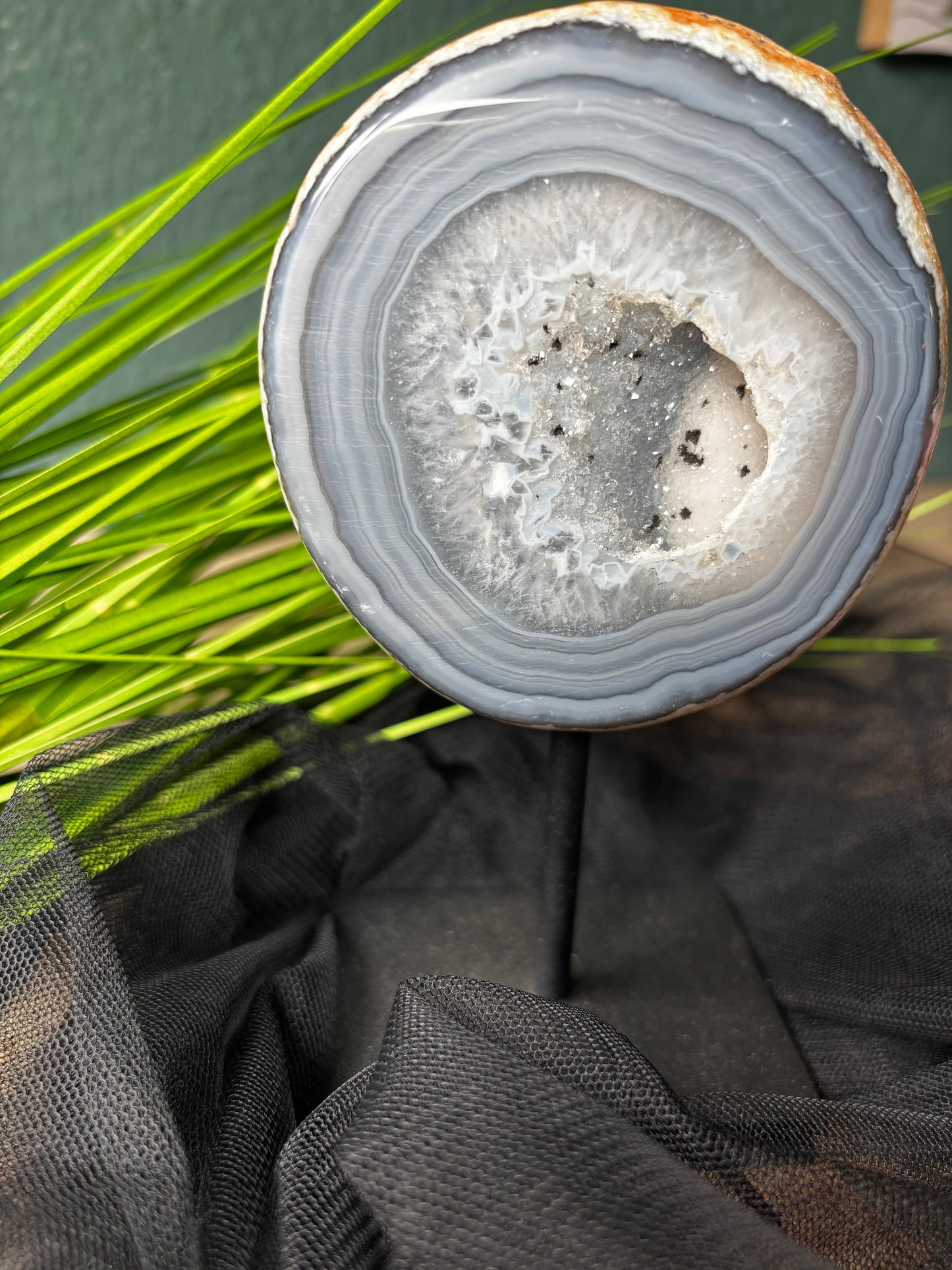 3 verschiedene Achate auf Stand mit Drusen – Farbe und Form variieren