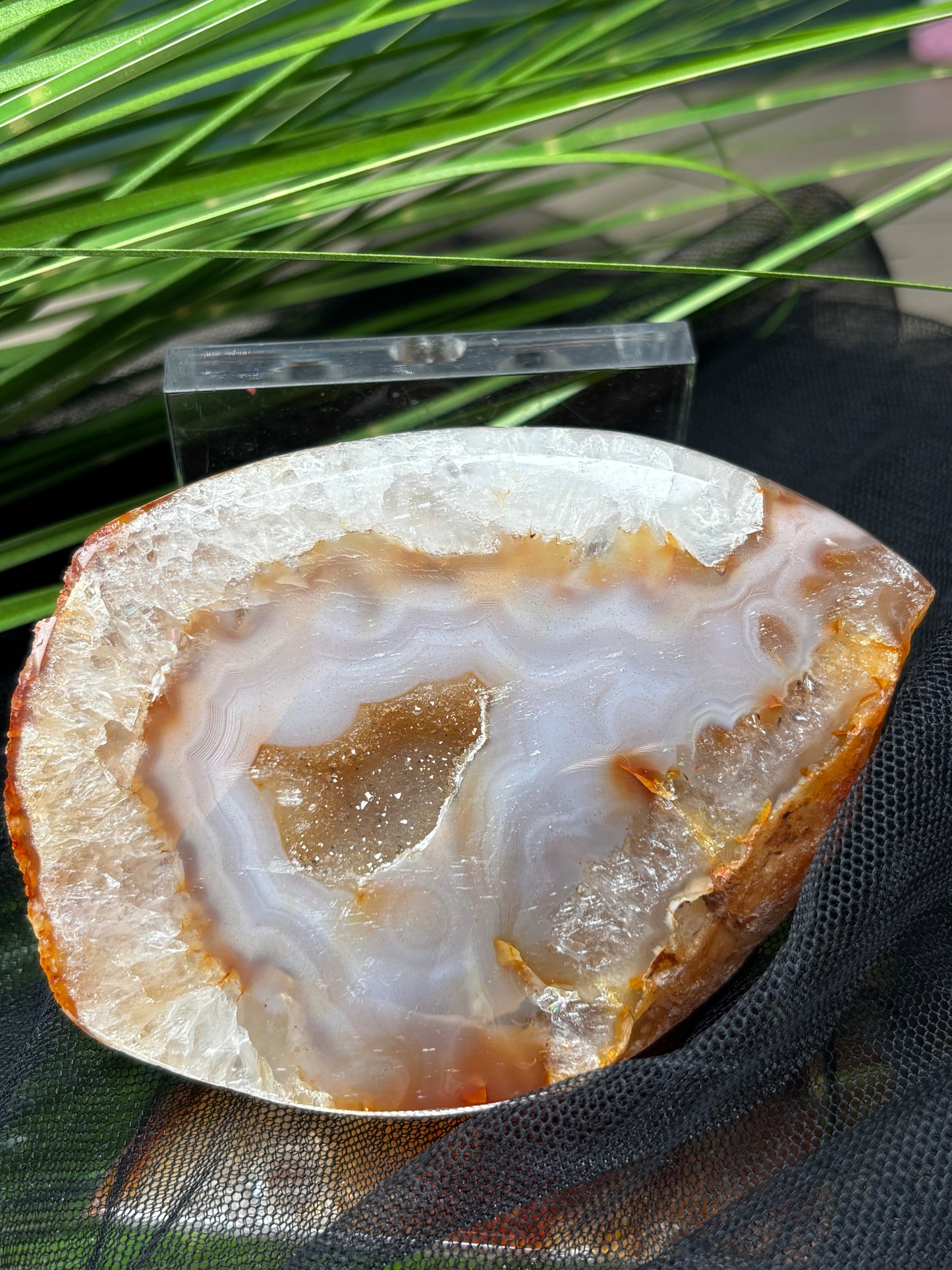 Achat Rohsteine mit Drusen – Eine Seite poliert