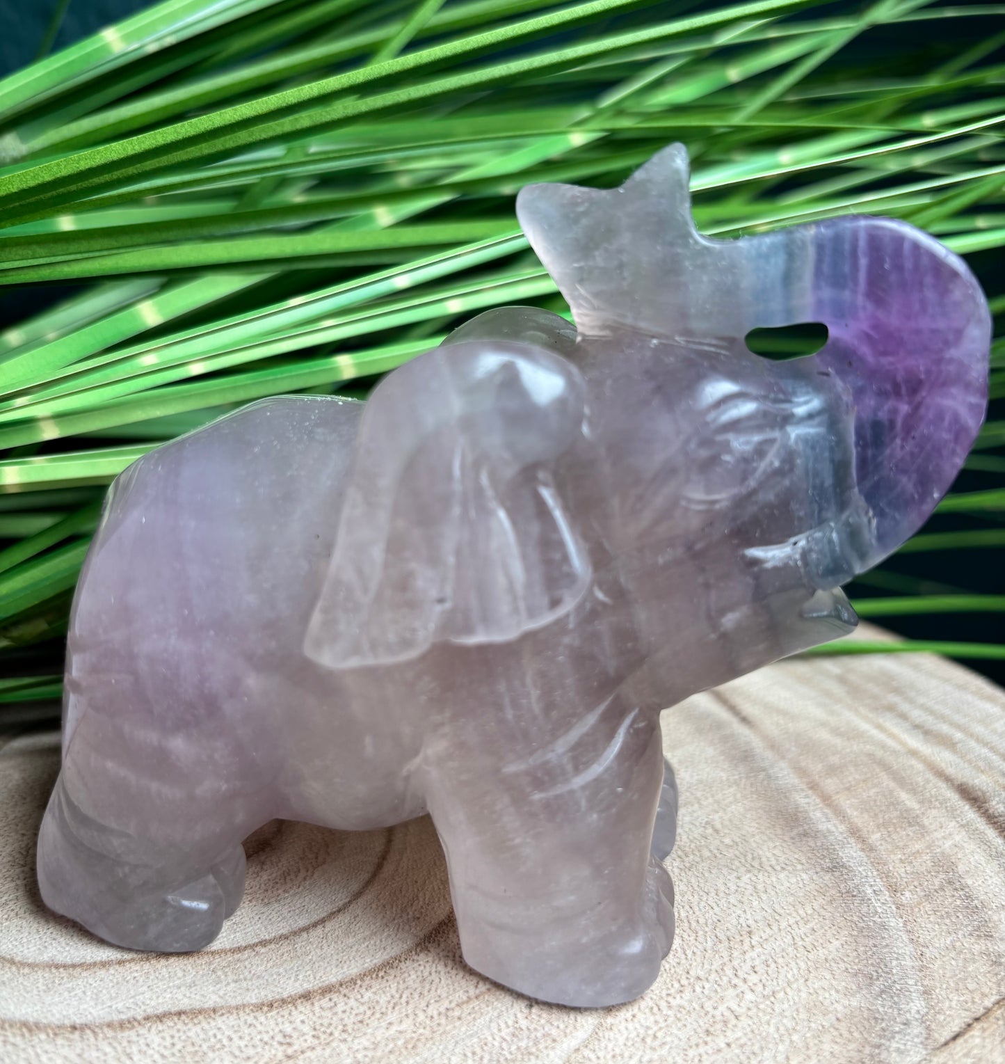 Fluorit Elefant 10,4 cm - Handgeschnitzt mit Farbverlauf