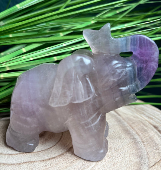 Fluorit Elefant 10,4 cm - Handgeschnitzt mit Farbverlauf