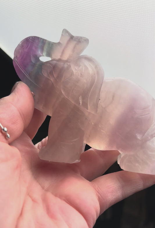 Fluorit Elefant 10,4 cm - Handgeschnitzt mit Farbverlauf