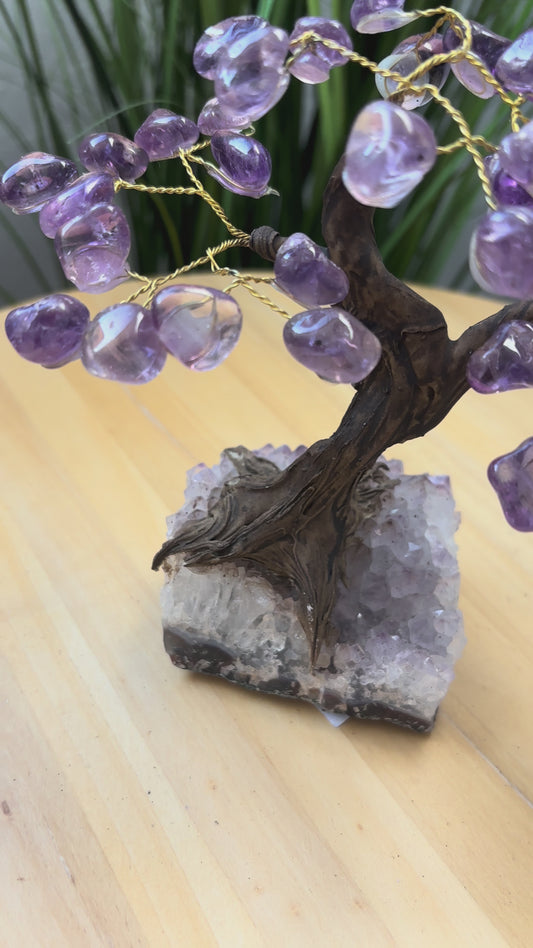 Amethyst Baum auf Amethyst Rohstück