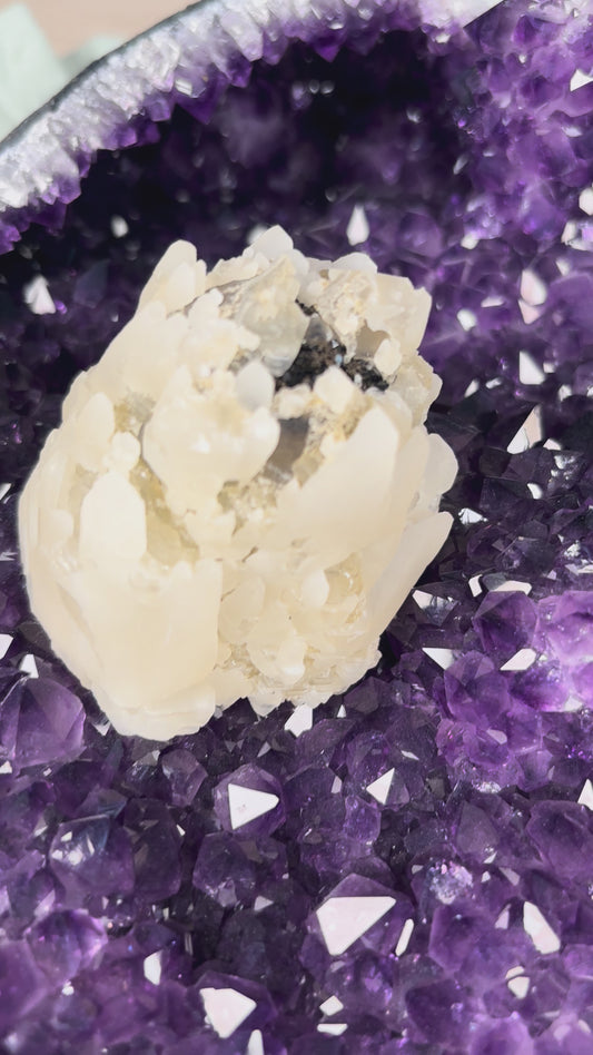 Amethyst Cluster Statement aus Brasilien/Uruguay mit Calcit-Blüte