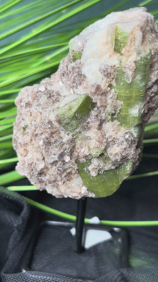 Grüner Turmalin auf Stand mit Muttergestein – 13,5 cm